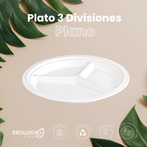 Plato 3 divisiones blanco plano